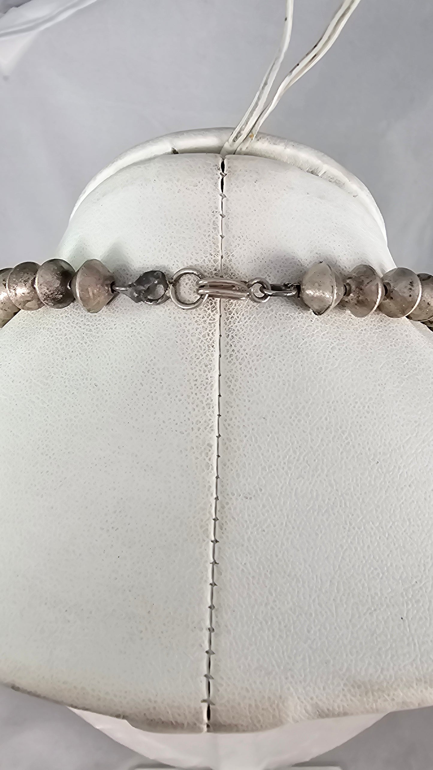 Mediterranean coral squash blossom