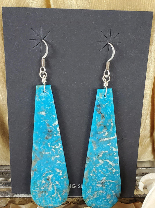 Long slab earrings - Albuquerque Pawn Shop